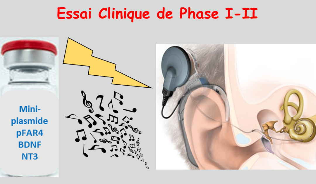 First-in-Man: Le mini-plasmide pFAR développé au sein de l’UTCBS