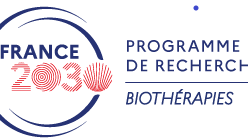 The VECT-PI project, led by Nathalie Mignet, is one of the four winners of the 2025–2026 Biotherapy and Bioproduction call for proposals.